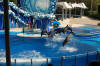 Sea World